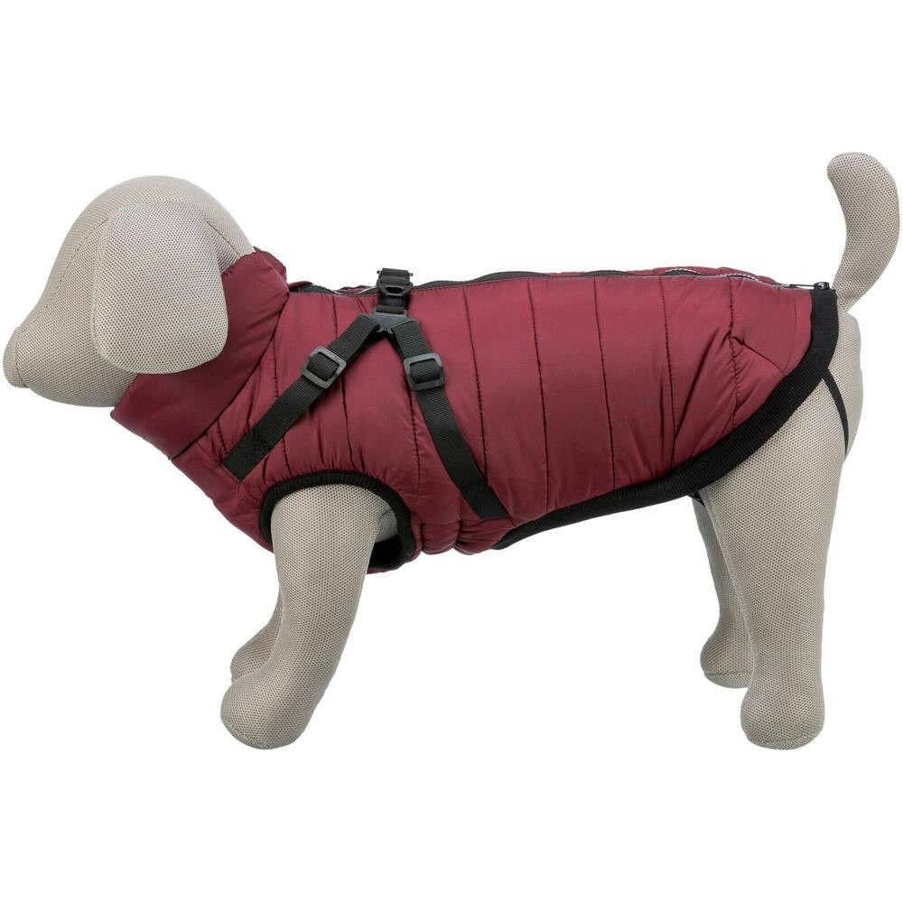 Imagen 3