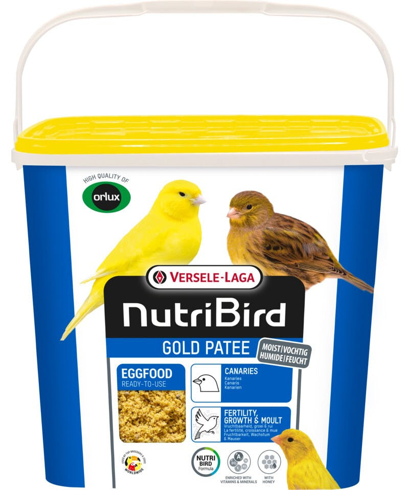 Gold Patee Canarios 5 kg - 5410340223642