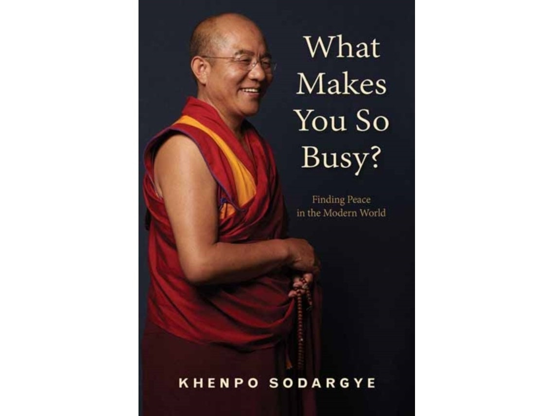 What Makes You So Busy? de Sodargye Khenpo (Inglés)