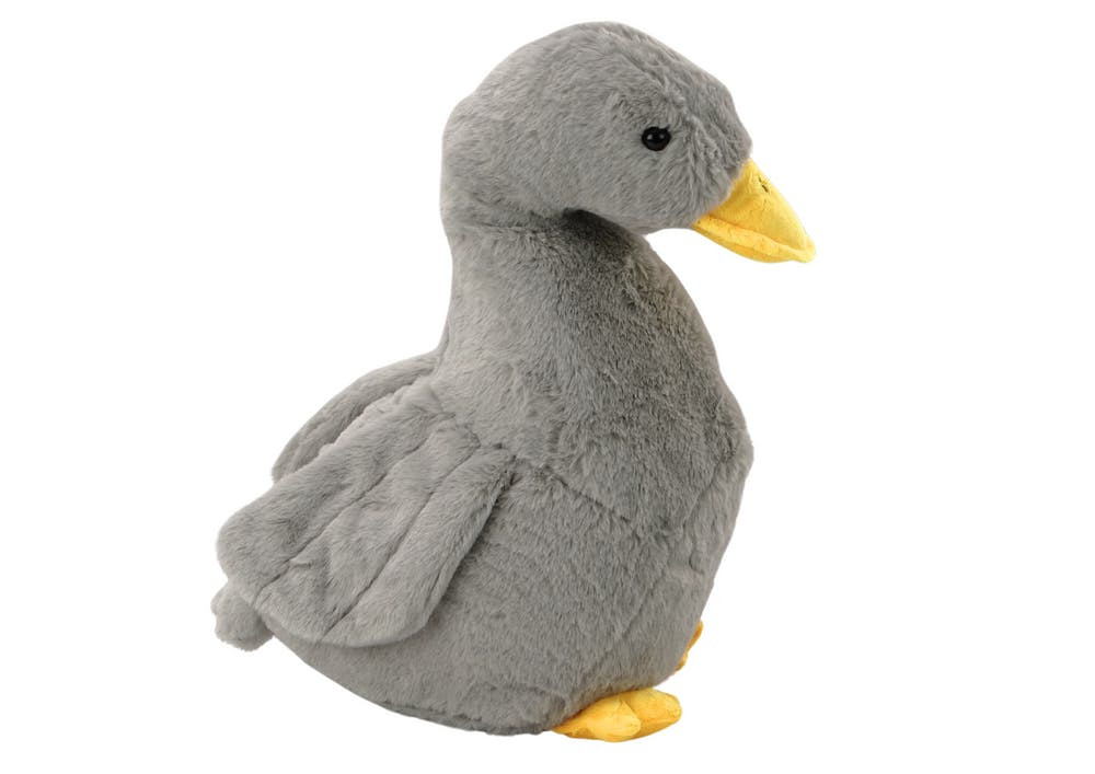 Imagen 1