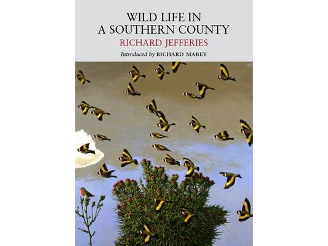 Wild Life in a Southern County by Richard Jefferies (English)