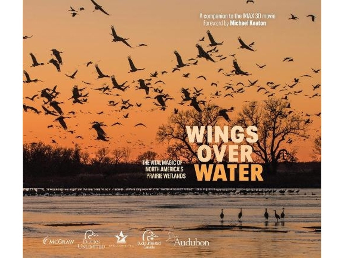 Wings Over Water de Wings for Wetlands LLC (Inglés)