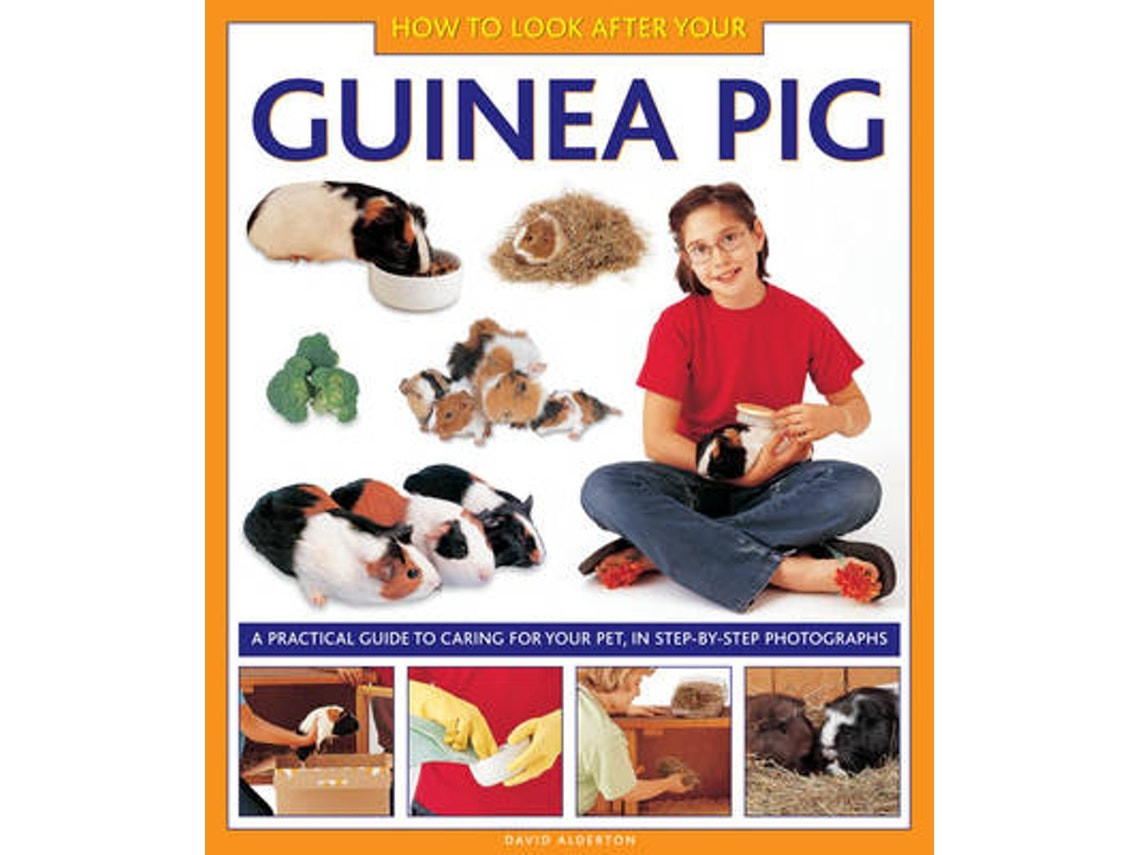 How to Look After Your Guinea Pig de David Alderton (Inglés)