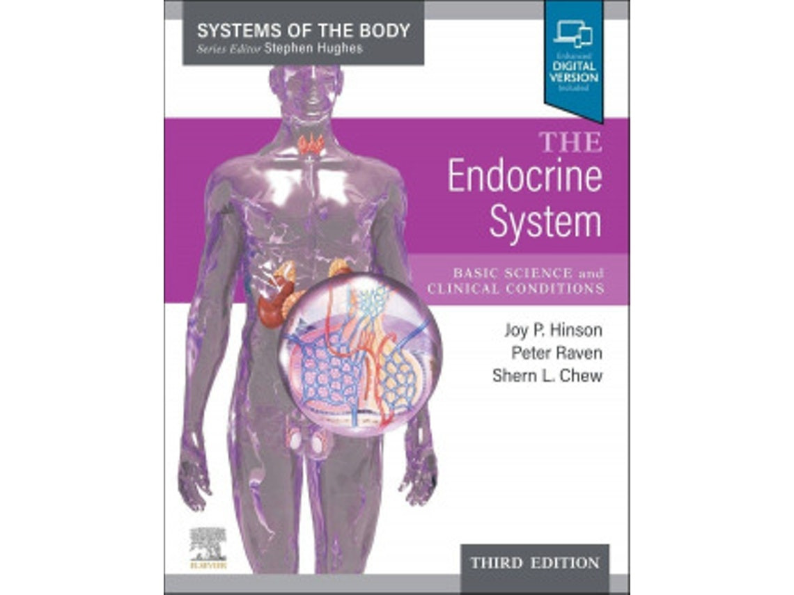 The Endocrine System de Hinson Raven, Raven & Chew (Inglés)