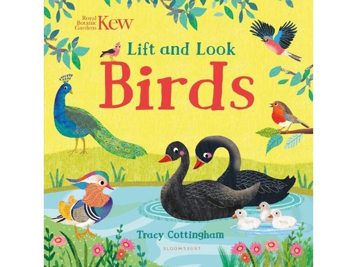 Kew Lift and Look Birds ilustrado por Tracy Cottingham (Inglés)