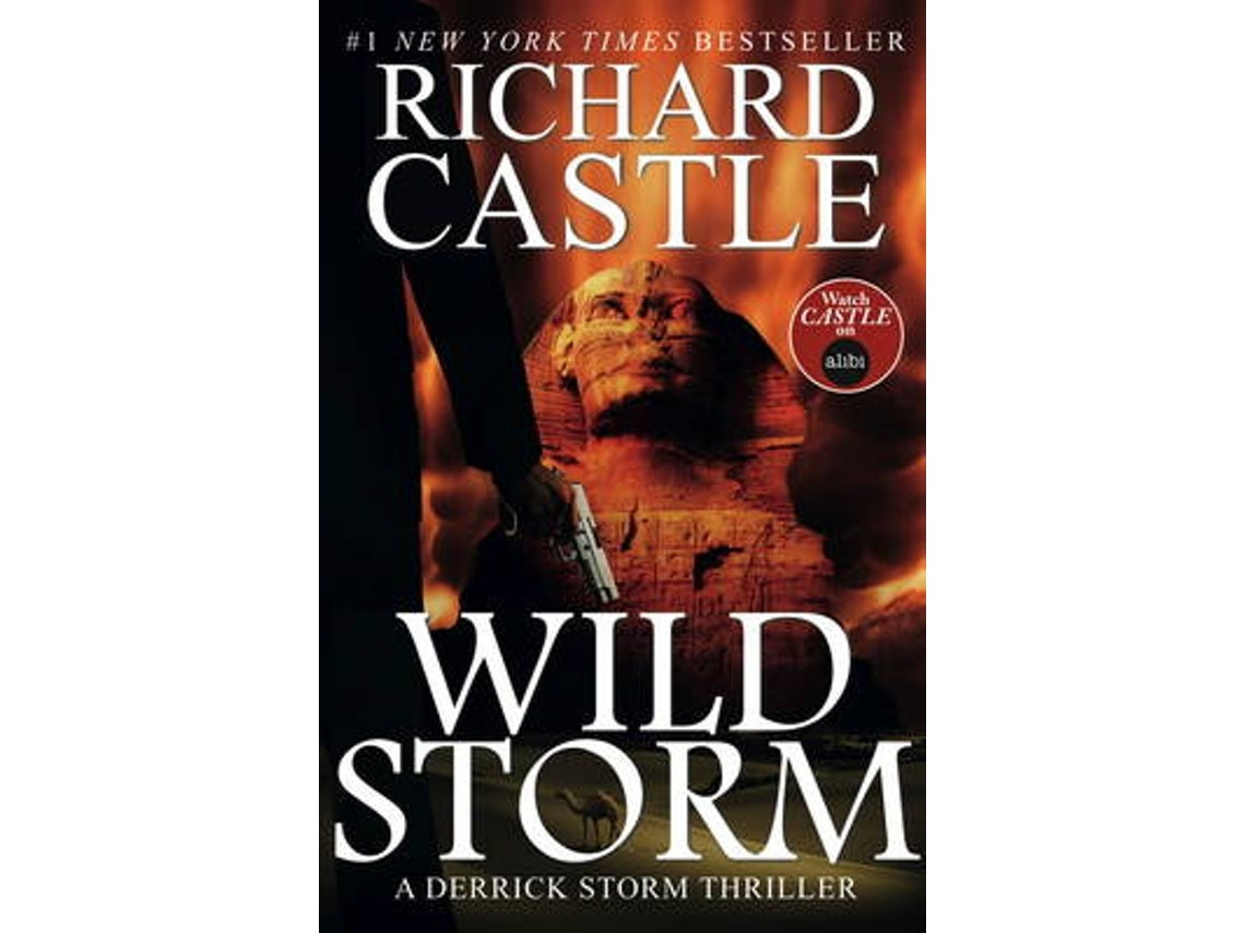 Wild Storm de Richard Castle (Inglés)