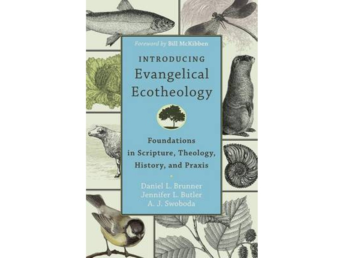 Introducing Evangelical Ecotheology de Daniel L. Brunner, Jennifer L. Butler, A. J. Swoboda, Bill Mckibben (Inglés)
