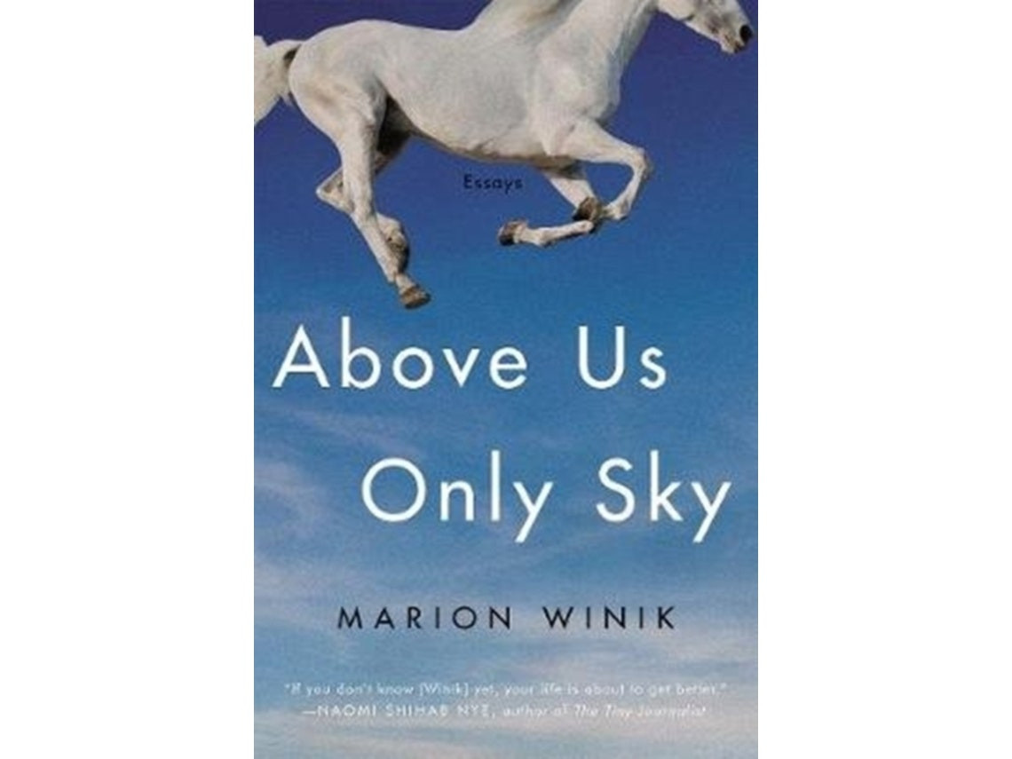 Above Us Only Sky de Marion Winik (Inglés)