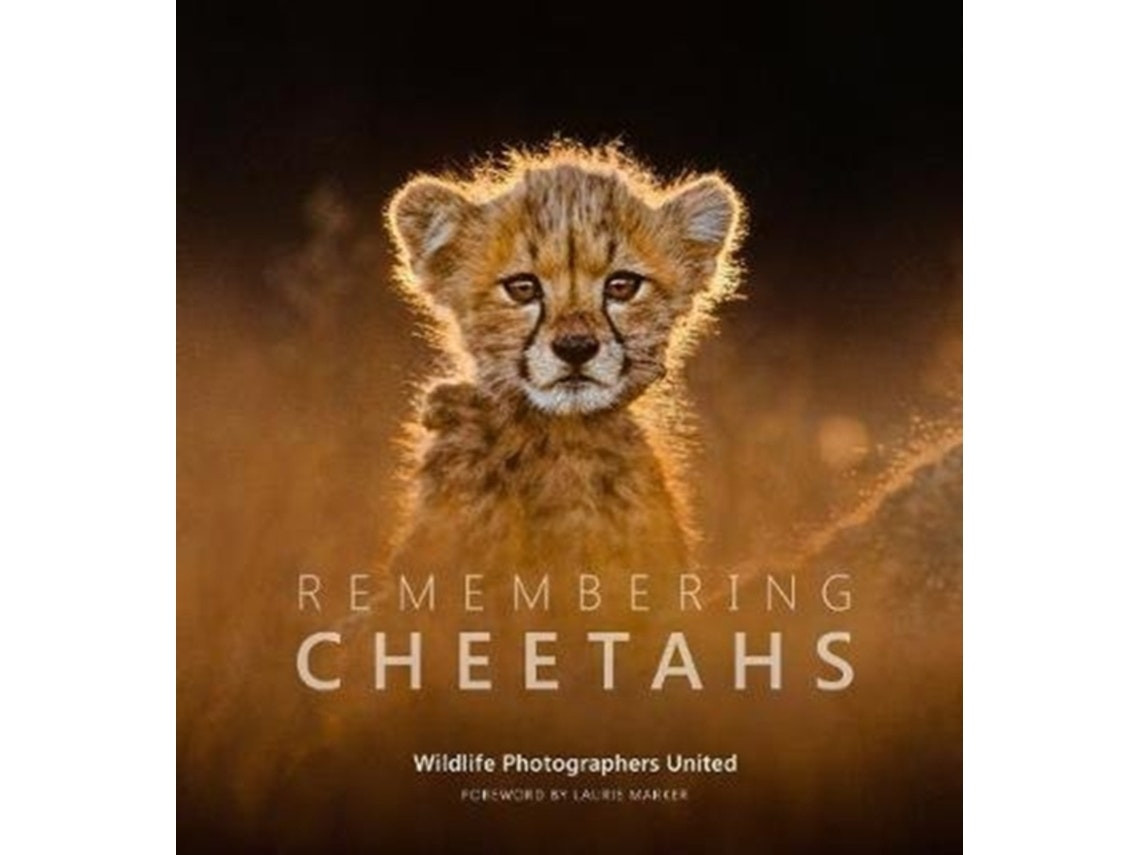 Remembering Cheetahs by Producer Margot Raggett (English)