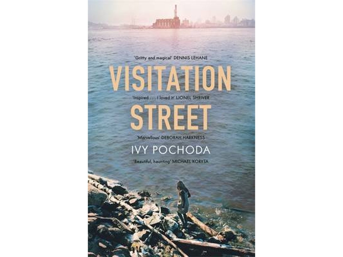 Visitation Street de Ivy Pochoda (Inglés)