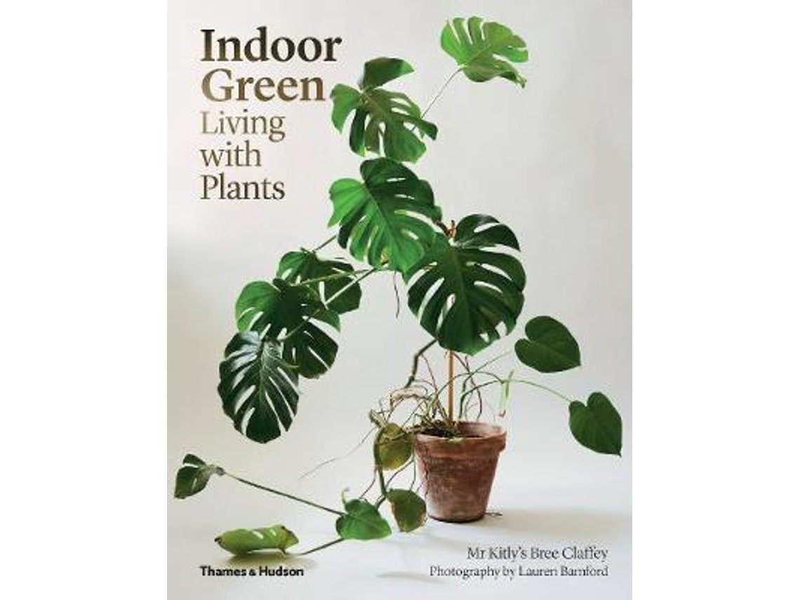 Indoor Green de Mr Kitly's Bree Claffey (Inglés)