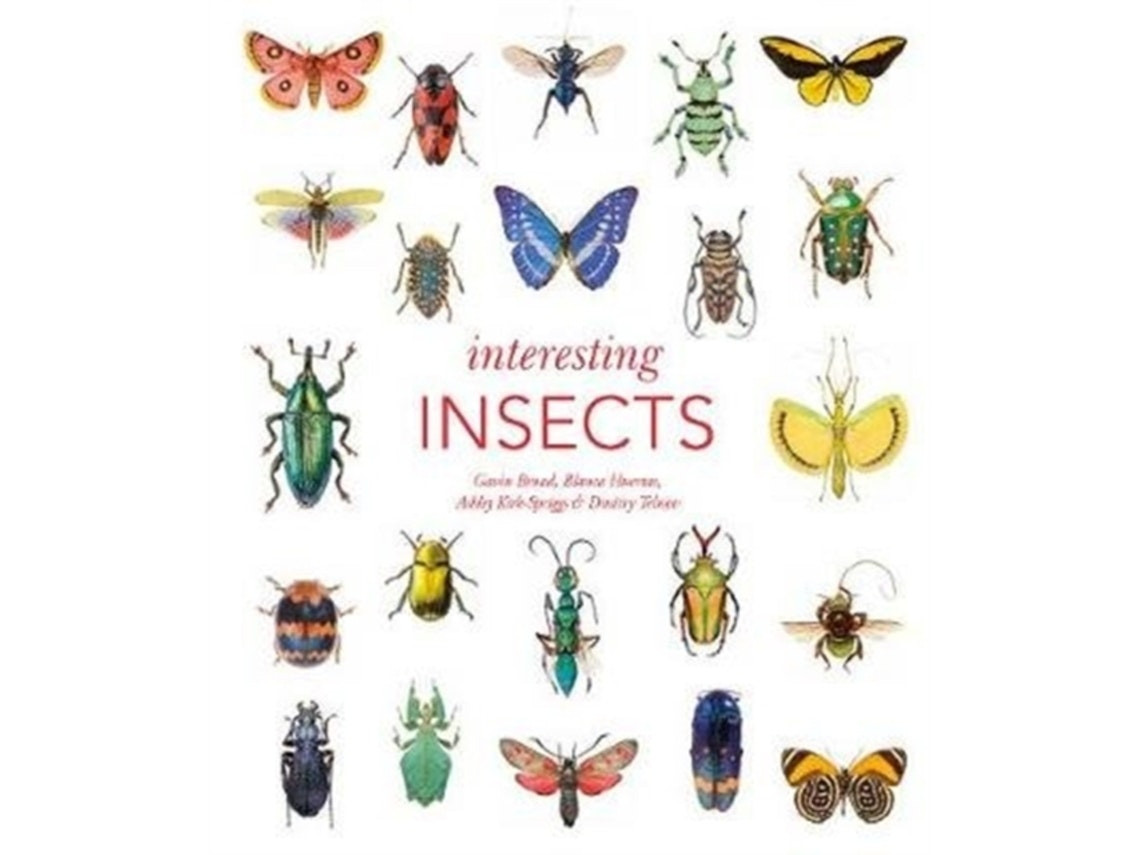 Interesting Insects de Gavin Broad, Ashley Kirk-Spriggs, Dmitry Telnov y Blanca Huertas (Inglés)