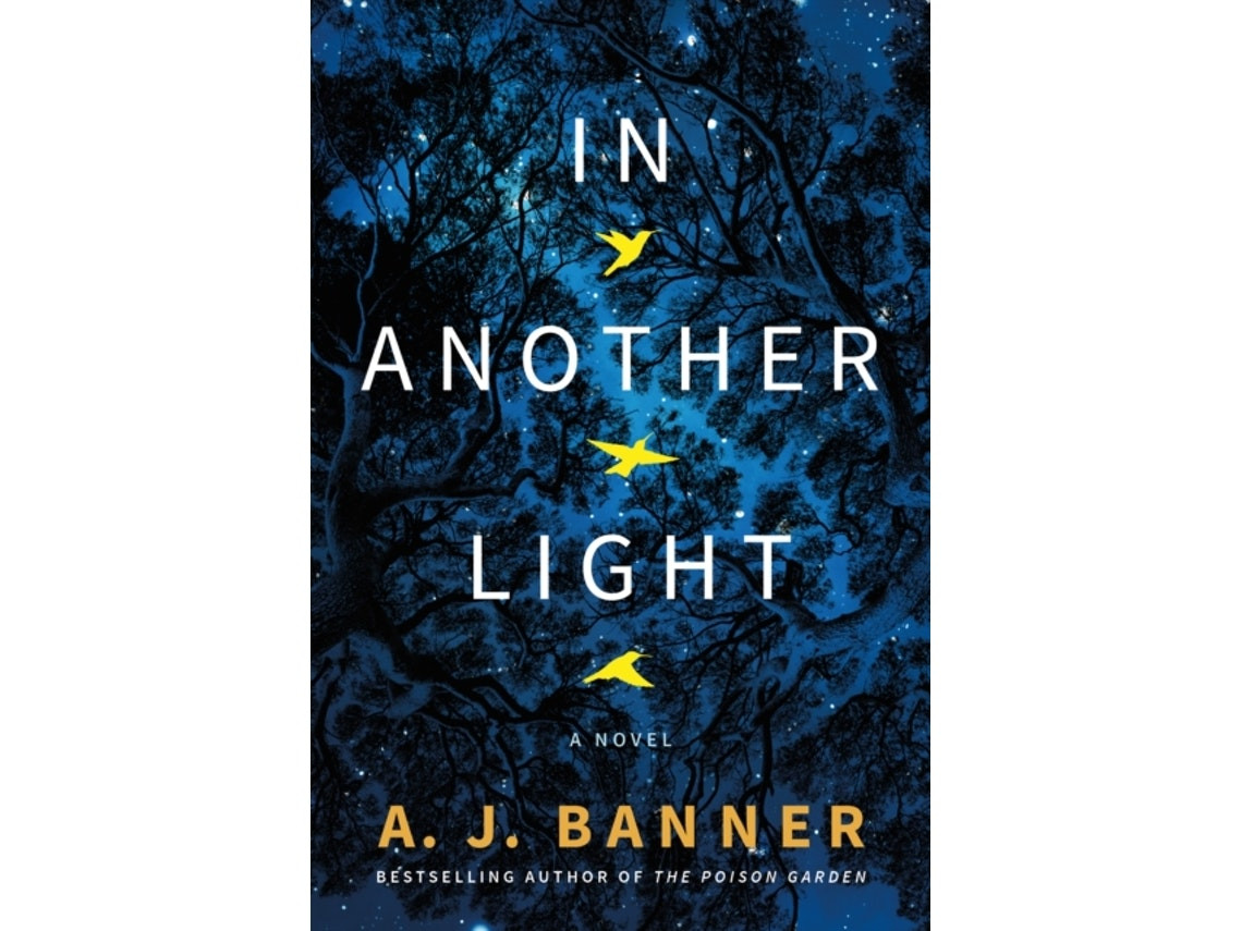 In Another Light by A. J. Banner (English)