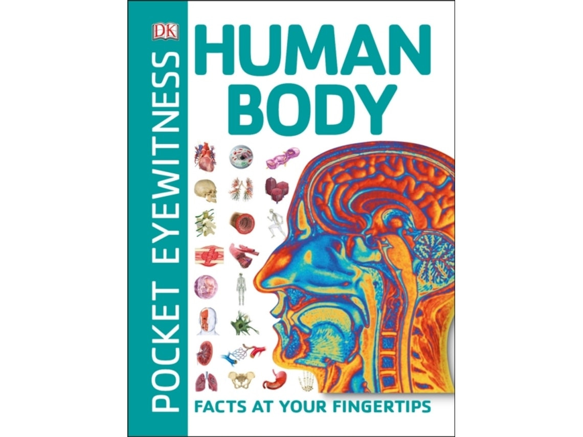 Pocket Eyewitness Human Body de DK (Inglés)