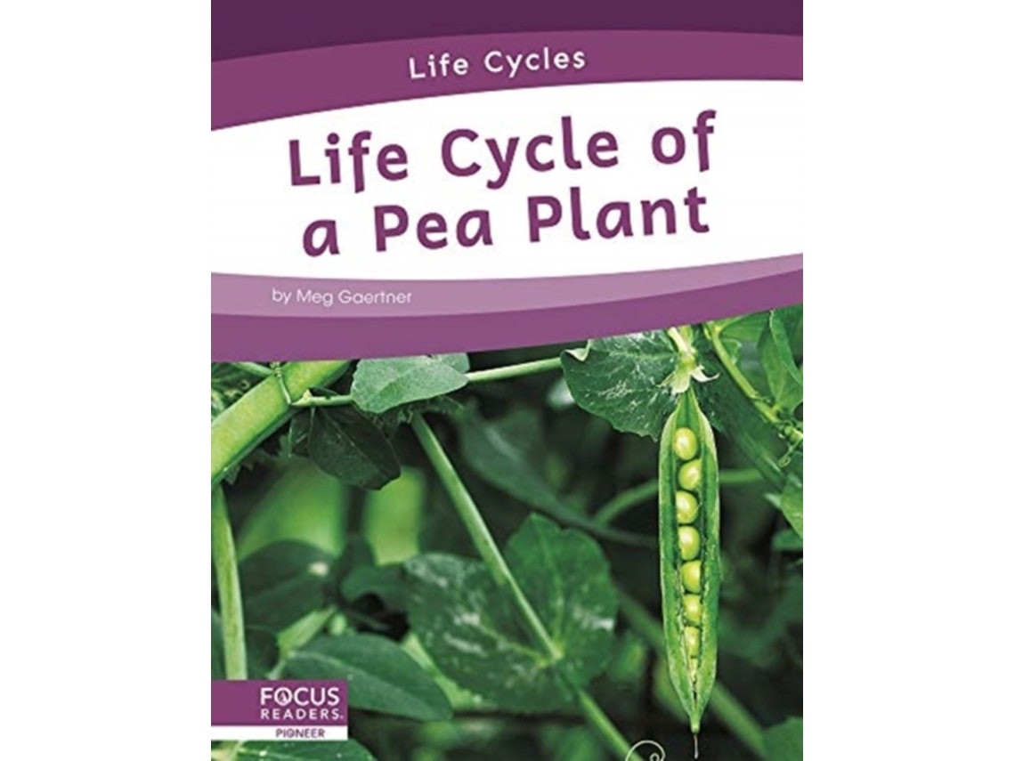 Life Cycles de Meg Gaertner (Inglés)