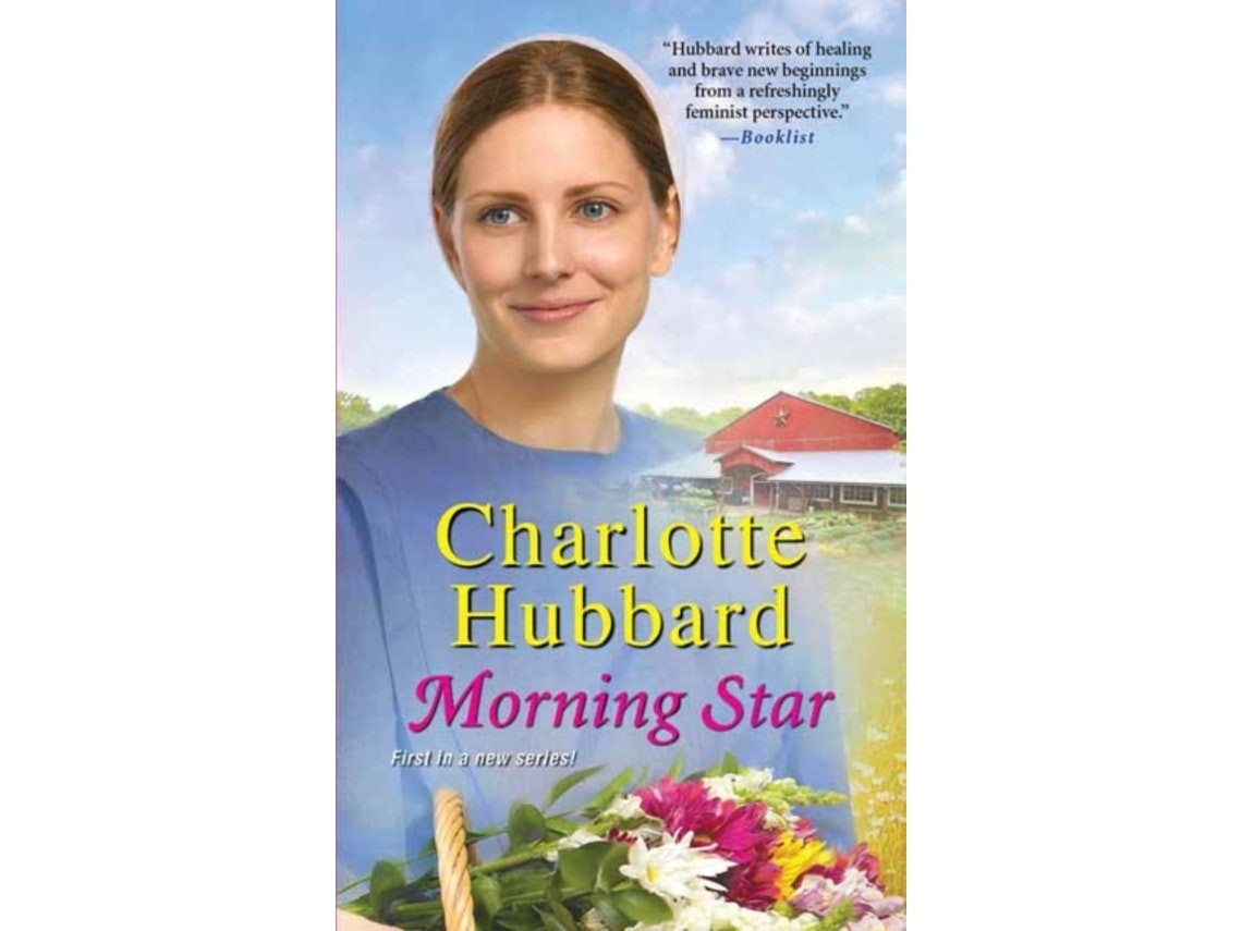 Morning Star de Charlotte Hubbard (Inglés)