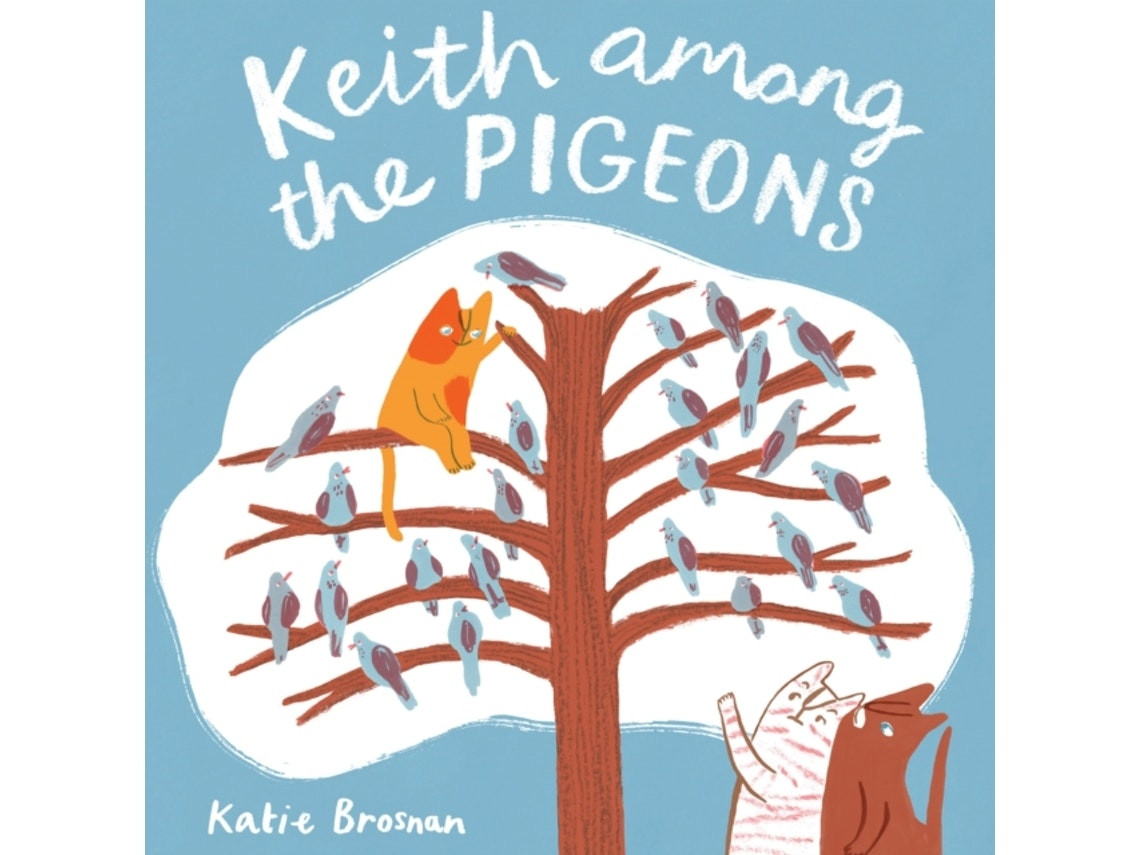 Keith Among the Pigeons by Katie Brosnan (English)