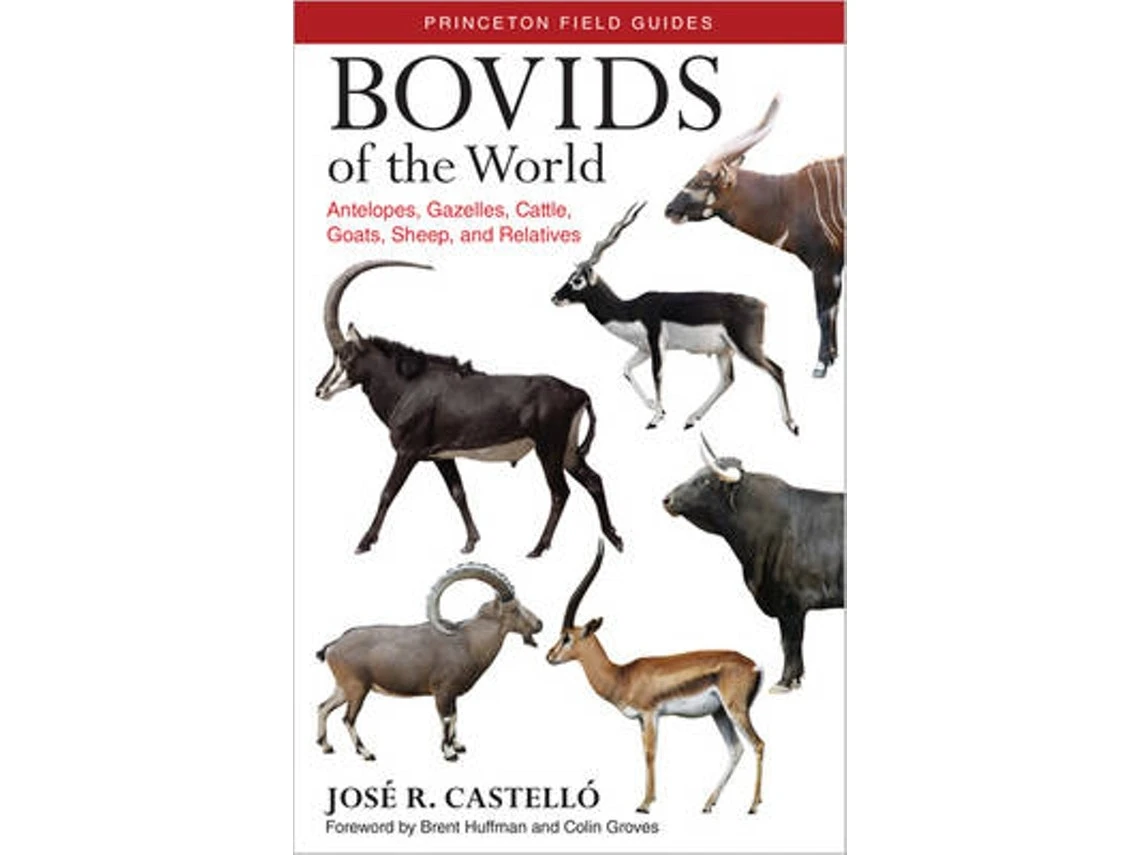 Bovids of the World de Dr. Jose R. Castello (Inglés)