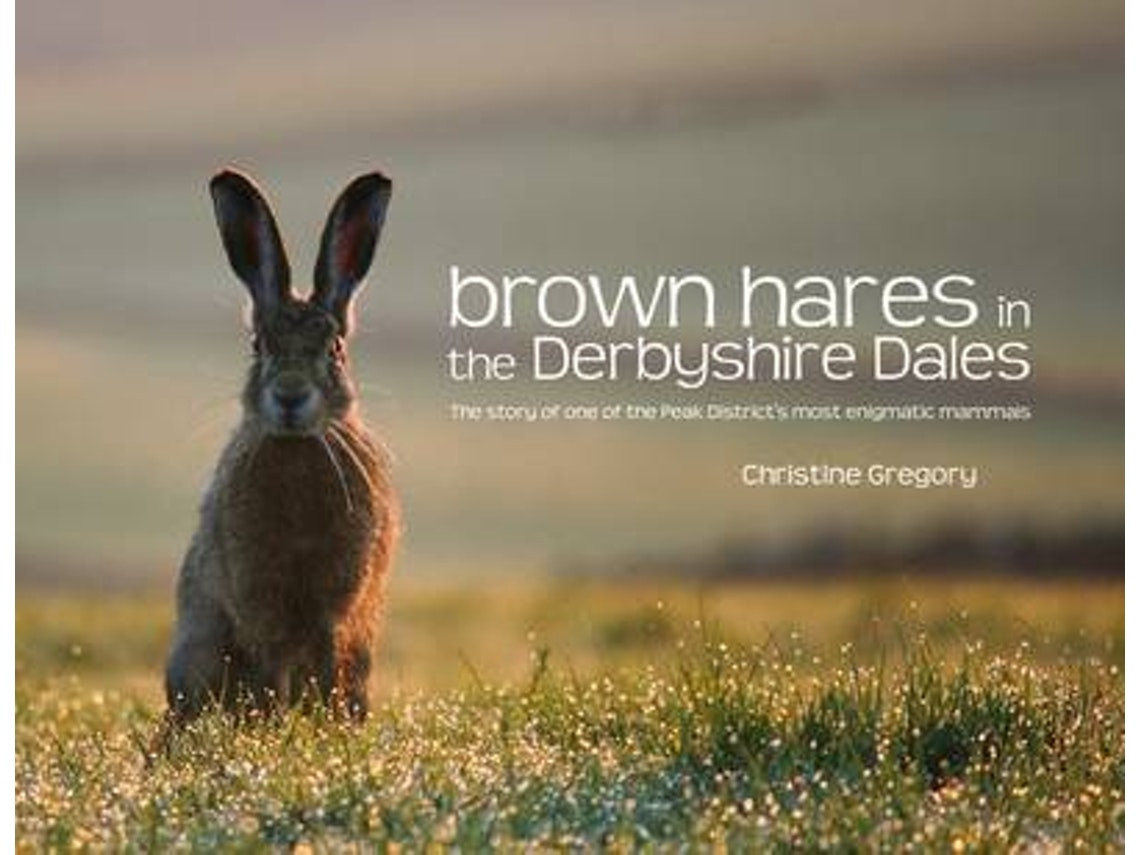 Brown Hares in the Derbyshire Dales by Christine Gregory (English)