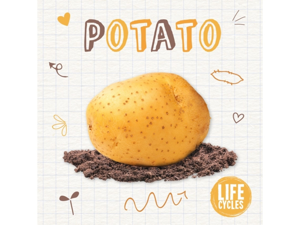 Potato de Kirsty Holmes (Inglés)