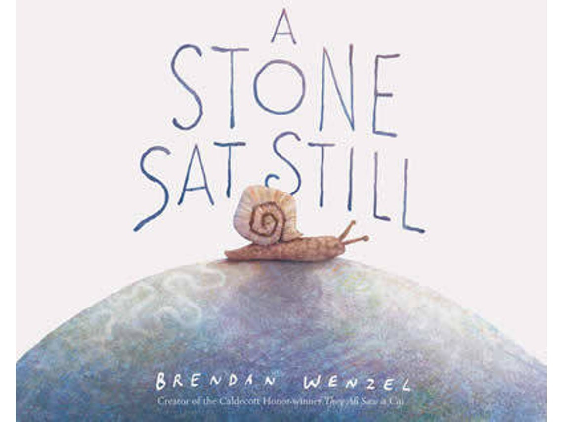 A Stone Sat Still de Brendan Wenzel (Inglés)