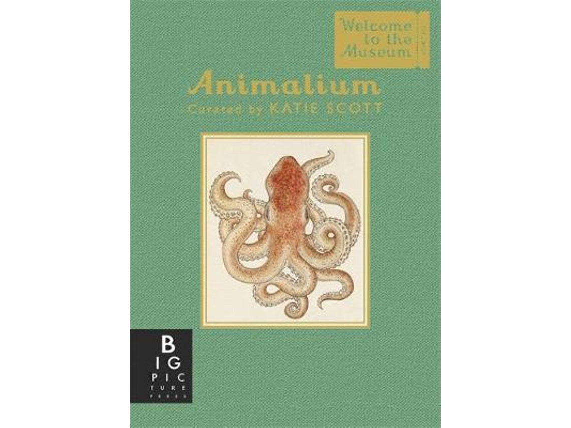 Animalium de Jenny Broom (Inglés)