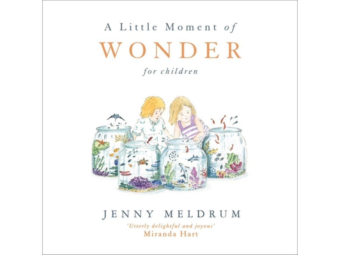 A Little Moment of Wonder de Jenny Meldrum (Inglés)