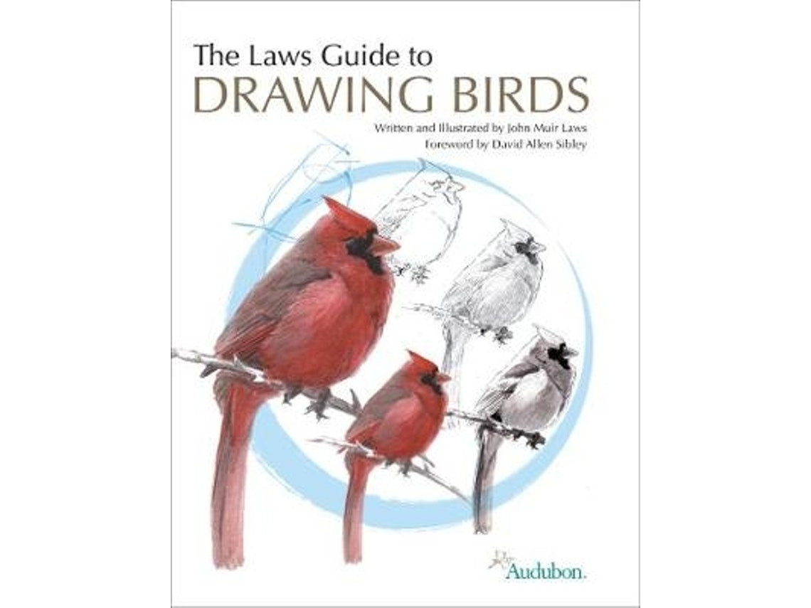 The Laws' Guide to Drawing Birds de John Muir Laws (Inglés)