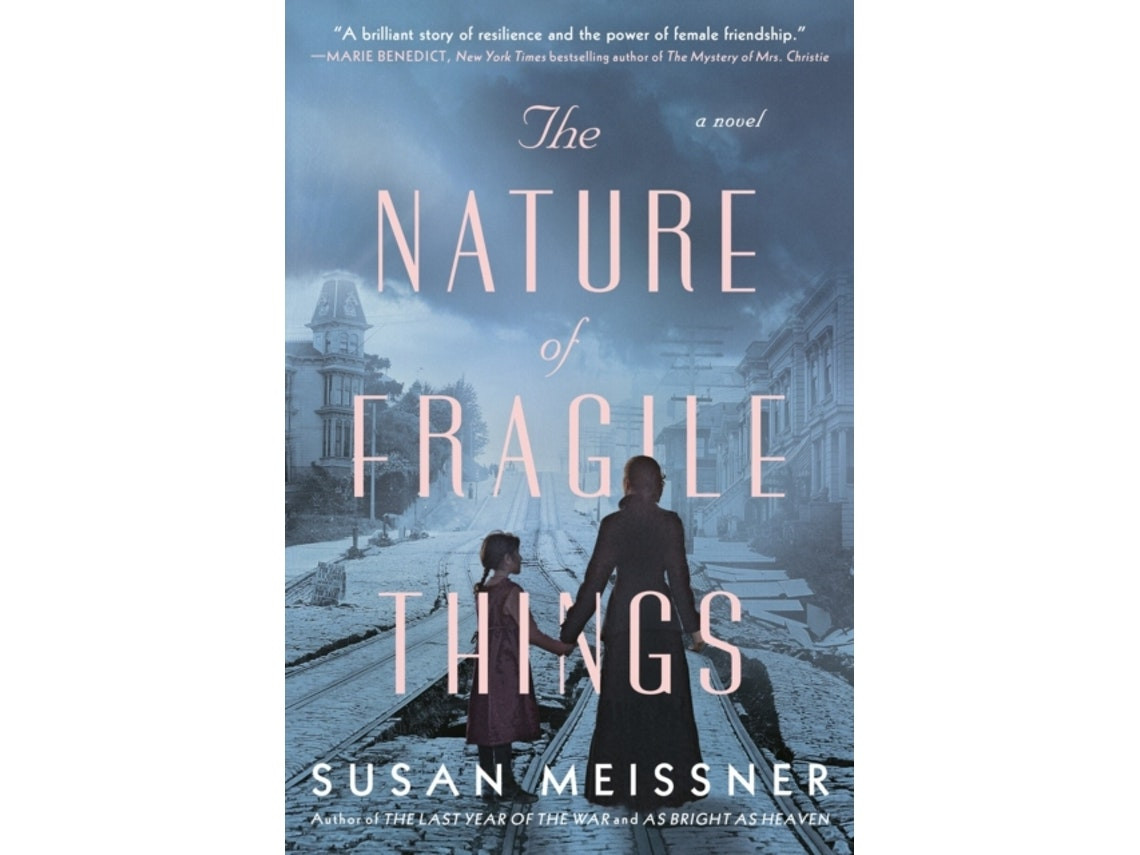 The Nature of Fragile Things de Susan Meissner (Inglés)