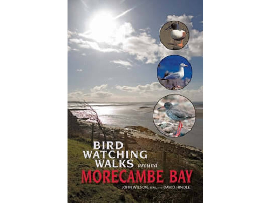 Birdwatching Walks Around Morecambe Bay de Reverend Dr John Wilson (Inglés)