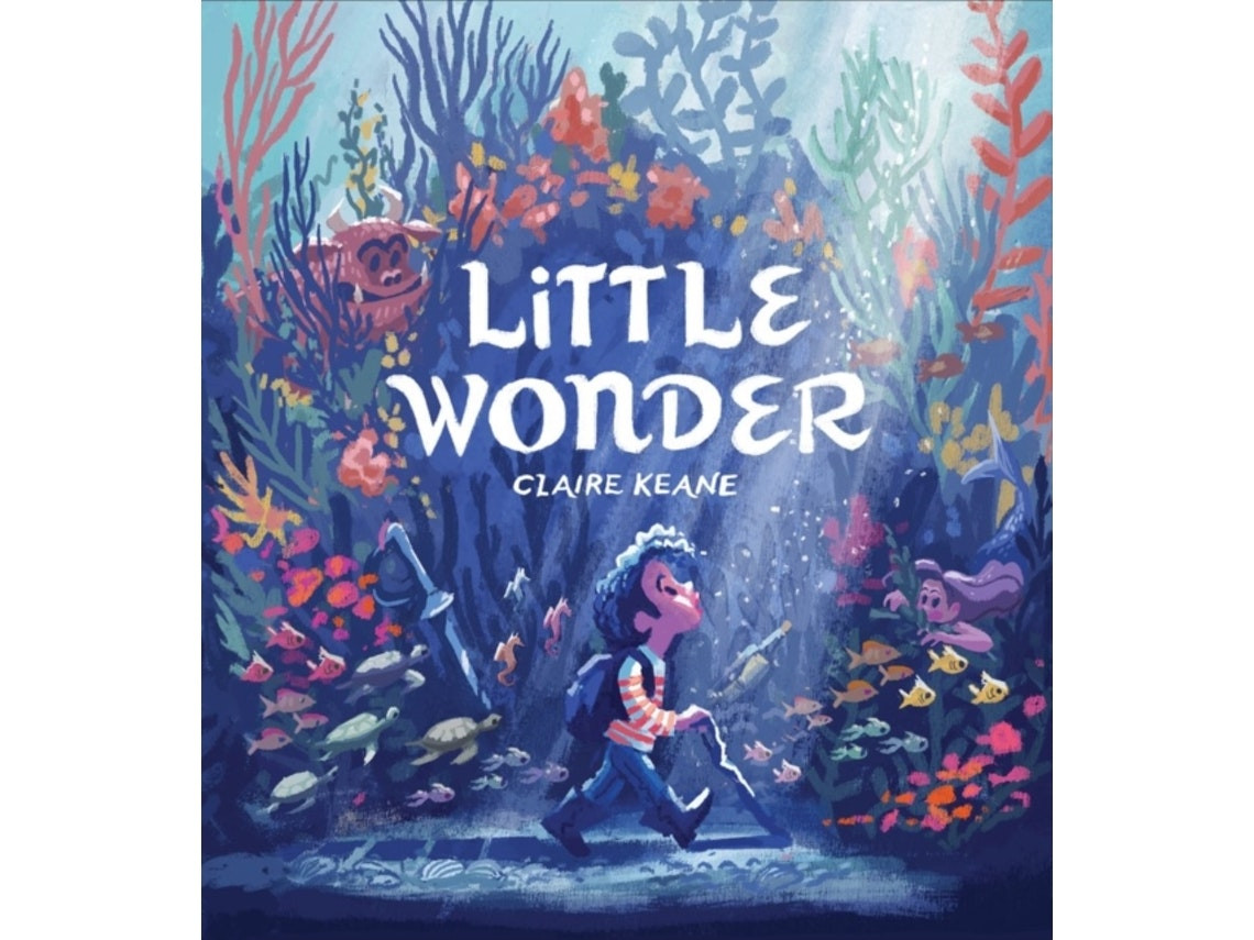 Little Wonder de Claire Keane (Inglés)