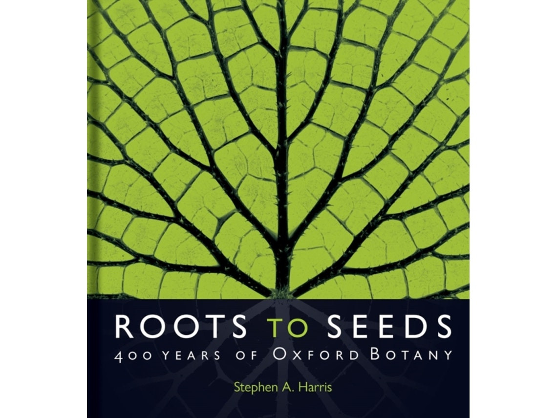Roots to Seeds de Stephen A. Harris (Inglés)