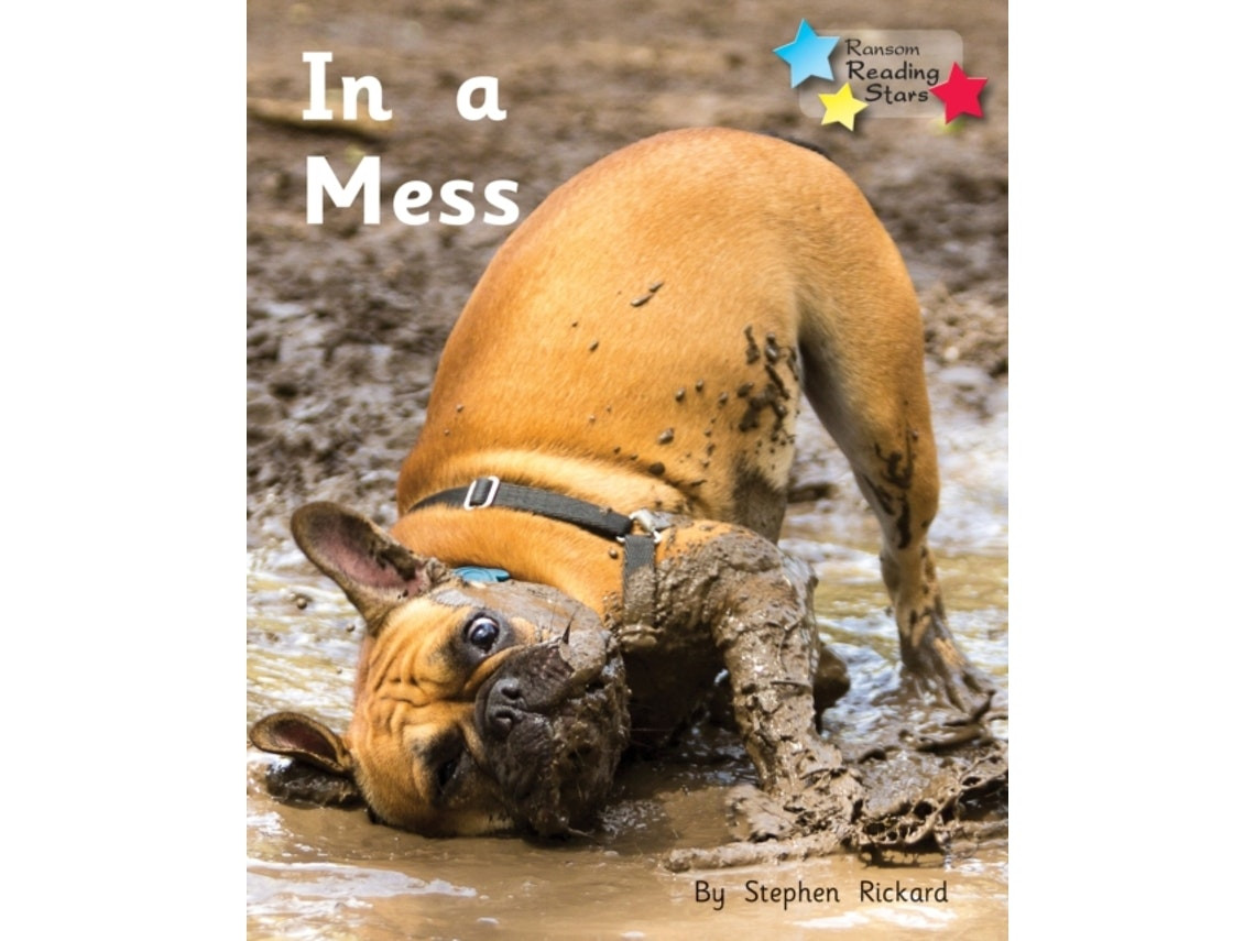 In a Mess by Stephen Rickard (English)