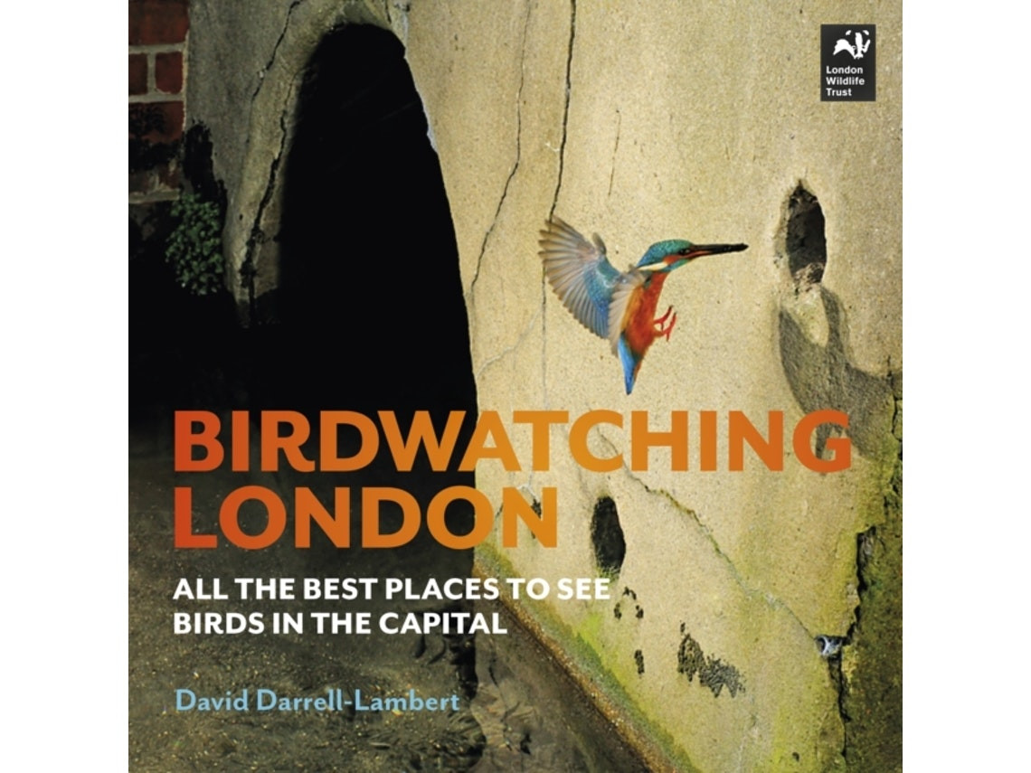 Birdwatching London de David Darrell-Lambert (Inglés)