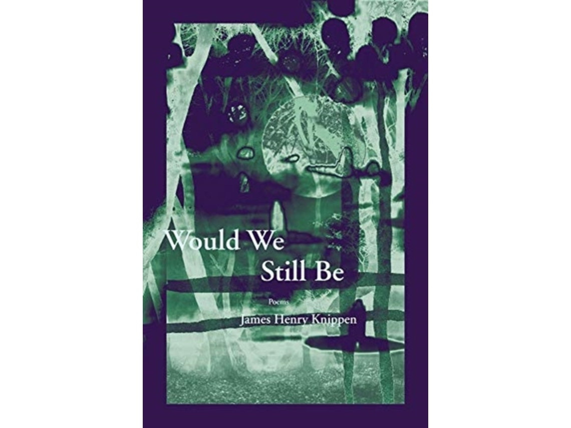 Would We Still Be de James Henry Knippen (Inglés)