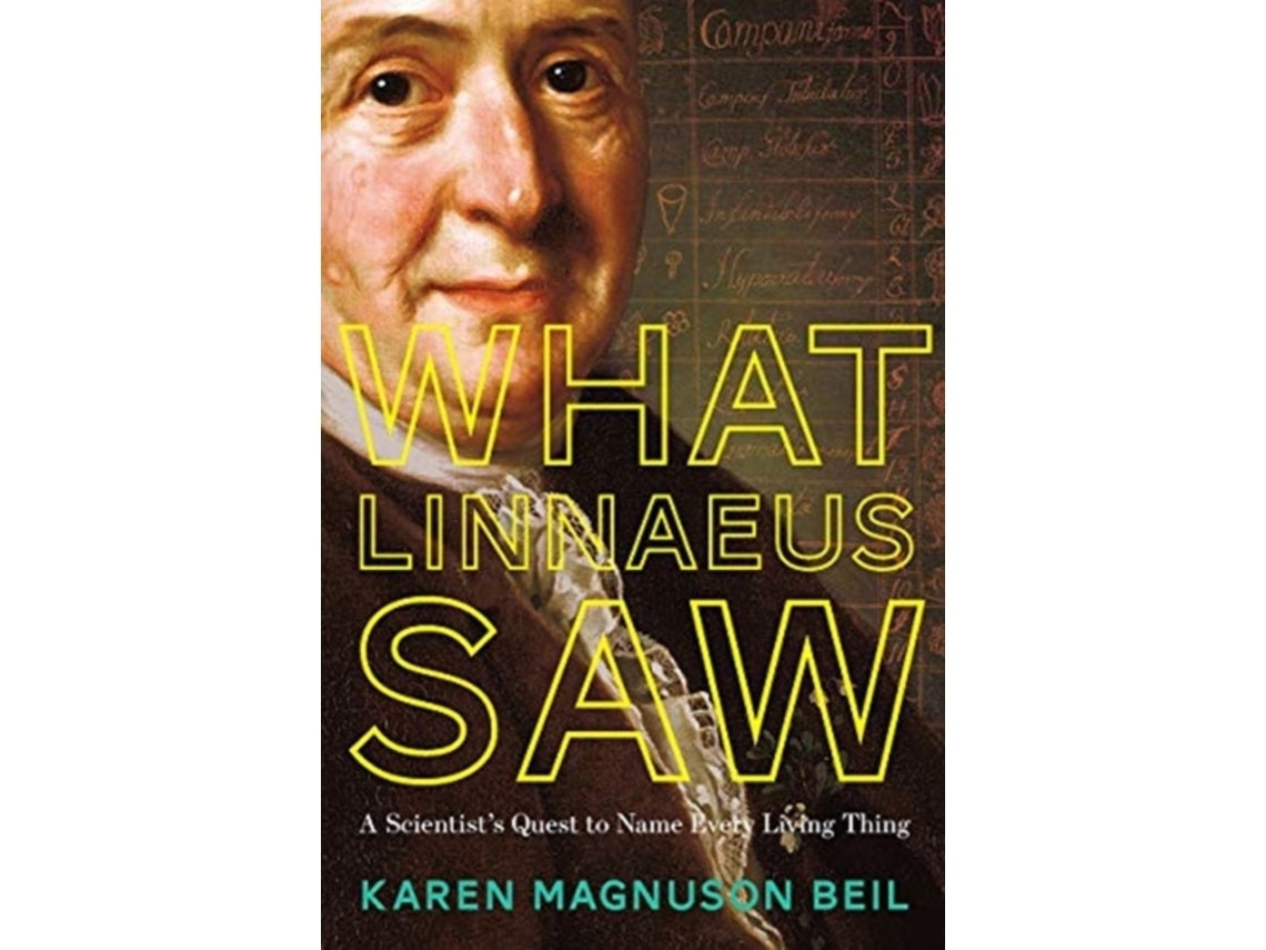 What Linnaeus Saw by Karen Magnuson Beil (English)