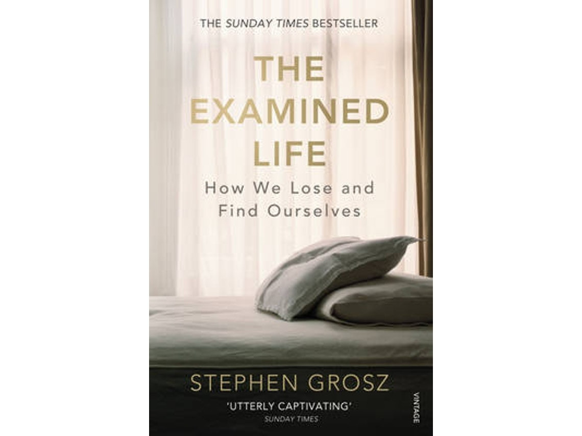 The Examined Life by Stephen Grosz (English)