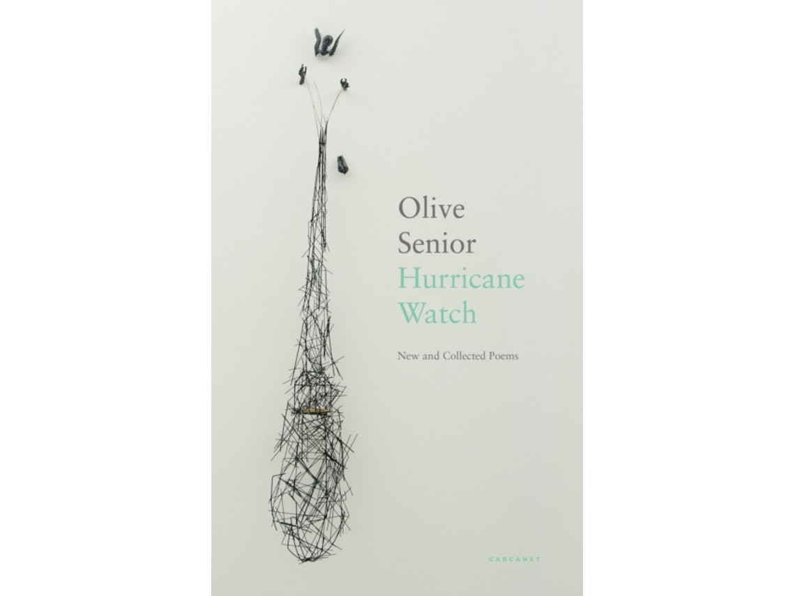 Hurricane Watch de Olive Senior (Inglés)