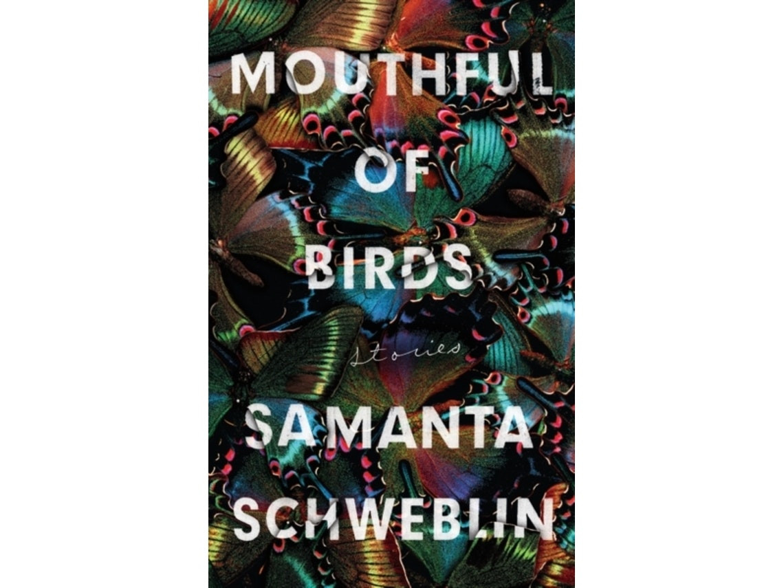 Mouthful of Birds de Samanta Schweblin (Inglés)