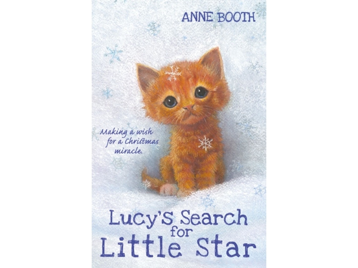 Lucy's Search for Little Star de Anne Booth (Inglés)