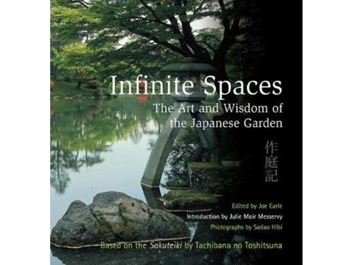 Infinite Spaces editado por Joe Earle (Inglés)
