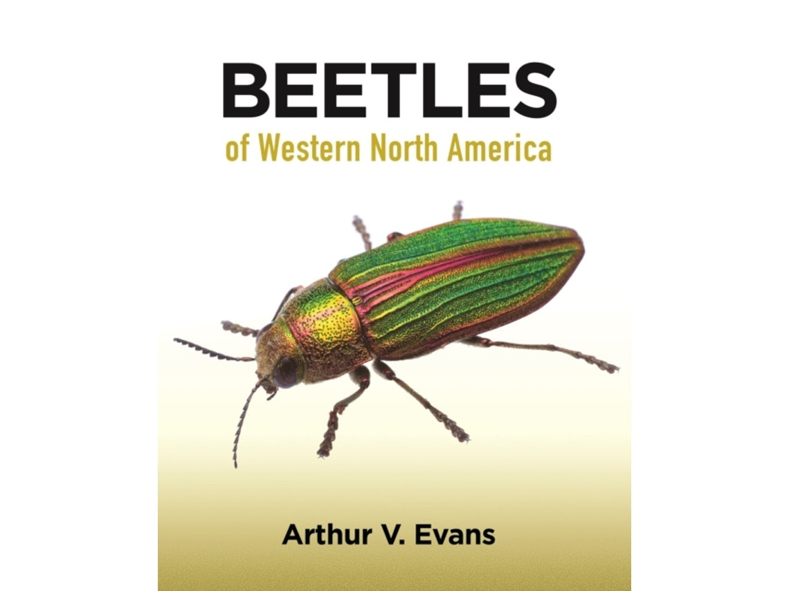 Beetles of Western North America de Arthur V. Evans (Inglés)