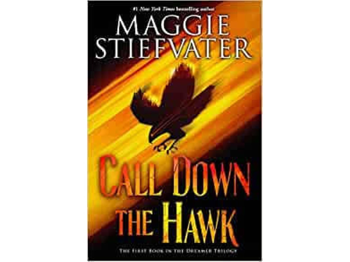 Call Down the Hawk by Maggie Stiefvater (English)