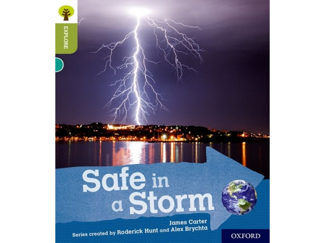 Oxford Reading Tree: Safe in a Storm by James Carter (English)