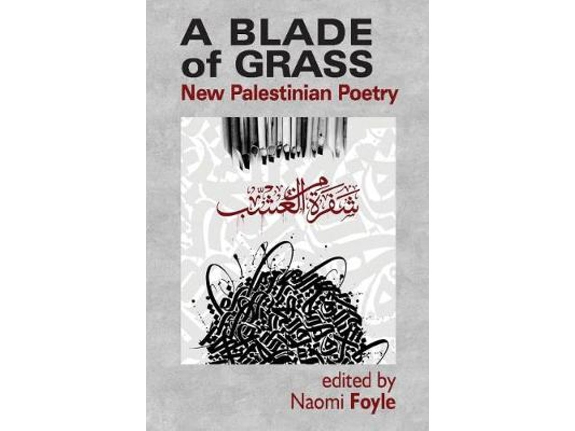 A Blade of Grass by Naomi Foyle (English)