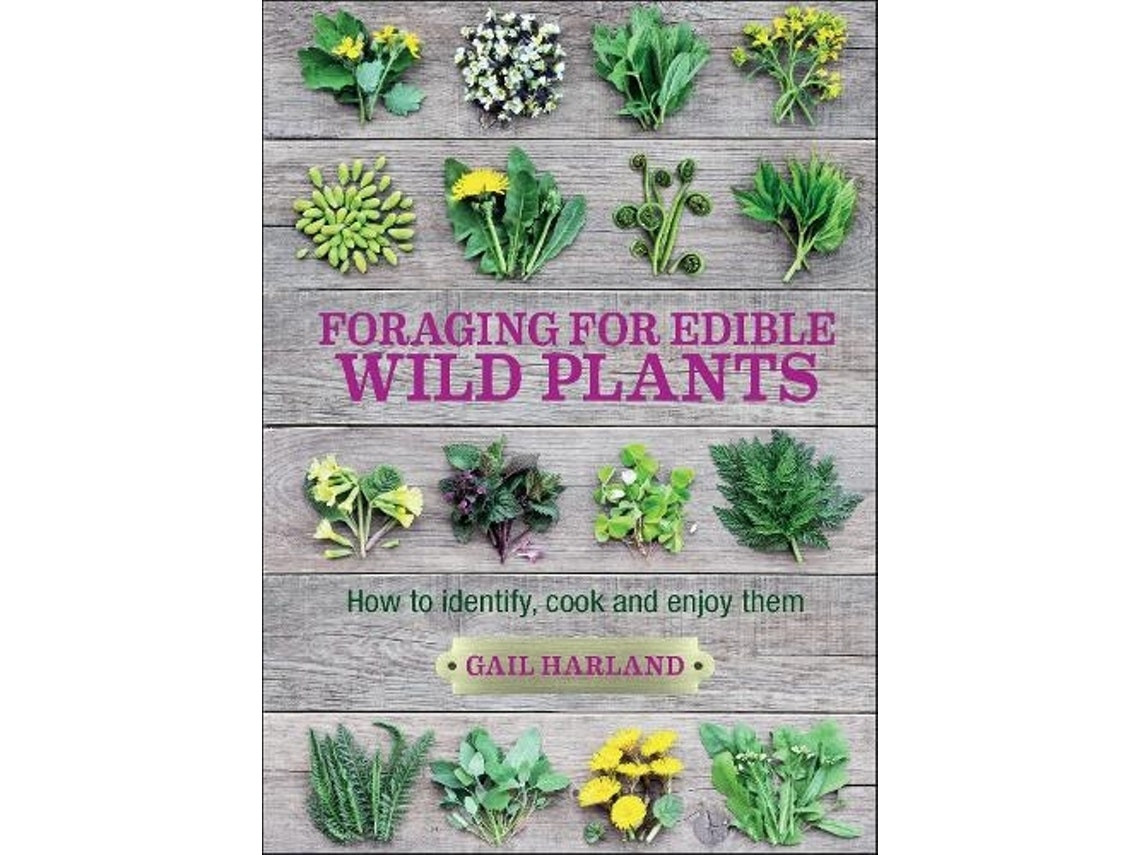 Foraging for Edible Wild Plants de Gail Harland (Inglés)