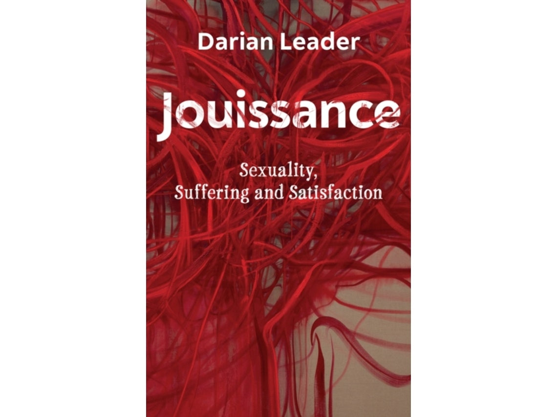 Jouissance by D Leader (English)