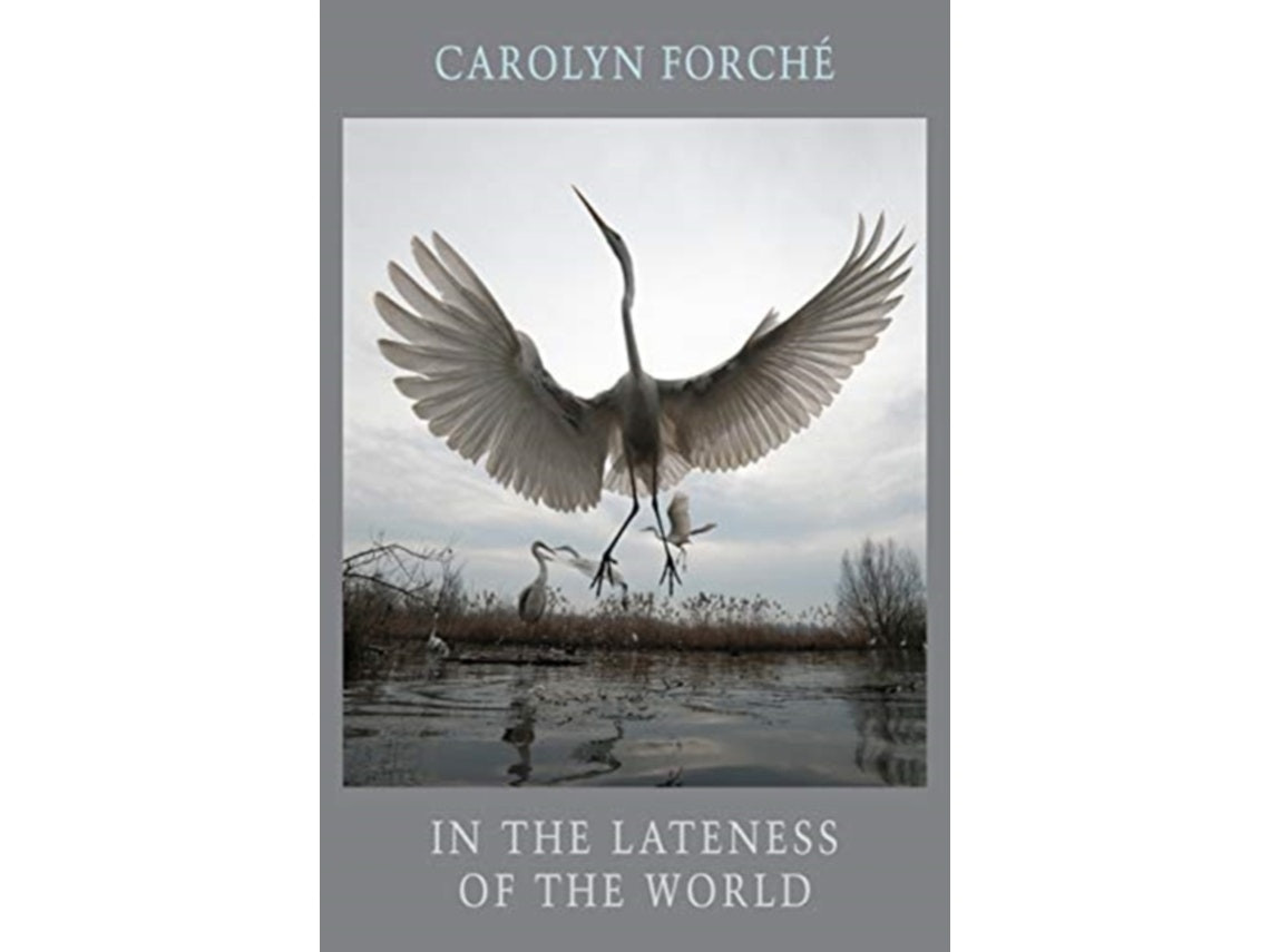 In the Lateness of the World de Carolyn Forché (Inglés)
