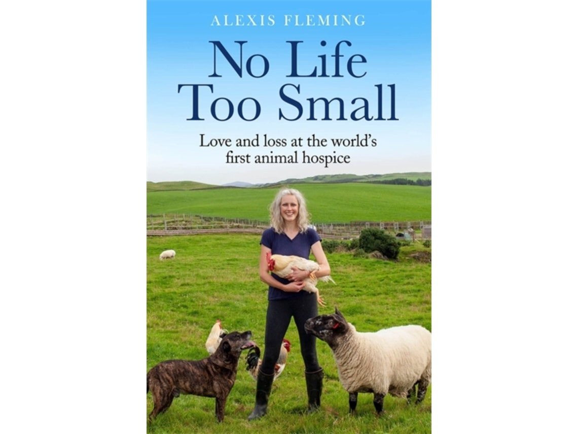 No Life Too Small de Alexis Fleming (Inglés)