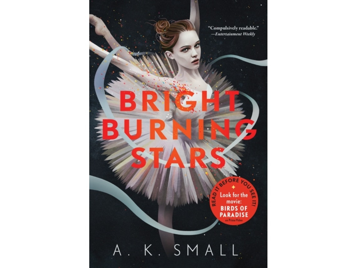 Bright Burning Stars by A. K. Small (English)